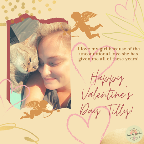 Paws For Reaction blog February Featured Pets: Custom Valentine of your pet