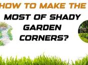 Make Most Shady Garden Corners Ideas