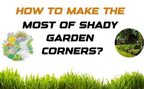 Make the most of shady garden corners – Garden Ideas