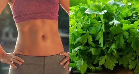 How Coriander Water is A Great Choice for Weight Loss?