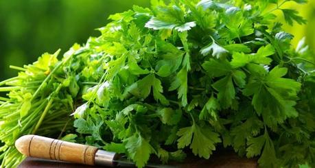 How Coriander Water is A Great Choice for Weight Loss?