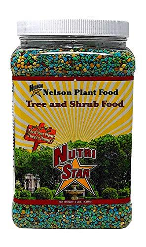 Nelson Trees and Shrubs Evergreens Plant Food In Ground Container Patio Grown Granular Fertilizer NutriStar 21-6-8 (4 lb)