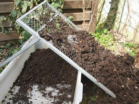 All You Need to Know About Compost