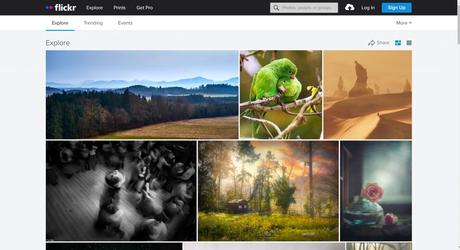 Flickr stock free images