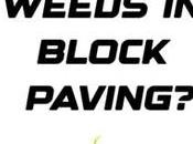 Stop Weeds Block Paving?