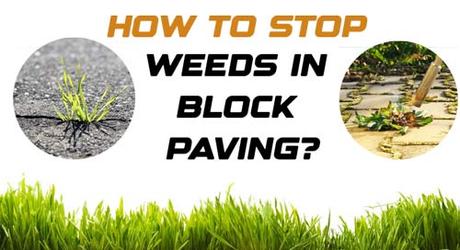 How to stop weeds in block paving?