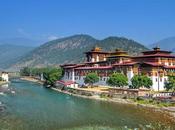 Humanity Needs Start Working Together