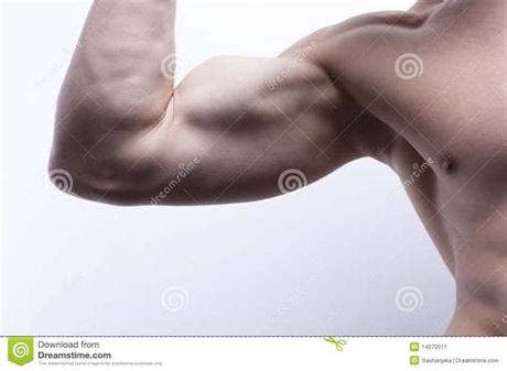 The body parts can be divided into two categories: Male s body (part) stock image. Image of athletic ...