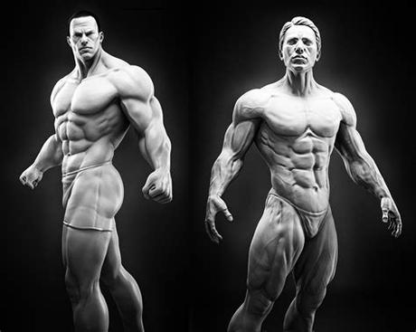 They will help us measure the in my case, when i'm drawing the torso i'm doing it like one big part. ArtStation - human study, donghoo Lee