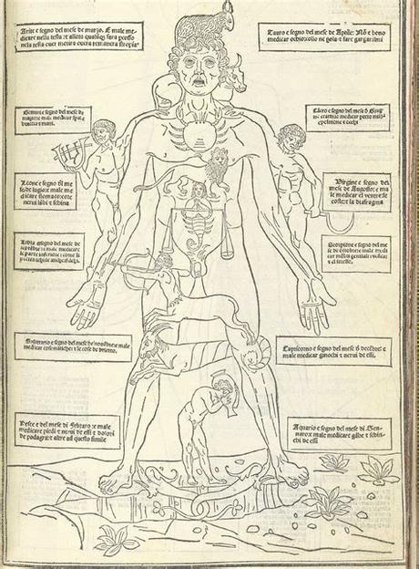 What are the parts and location of the male reproductive system? Johannes de Ketham - Fasiculo de Medicina