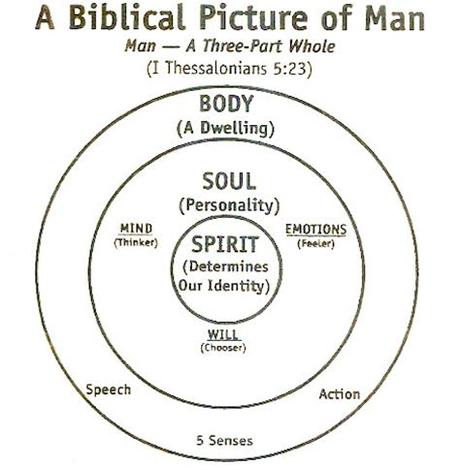 The front part of your head, where your eyes, nose, and mouth are. Three Parts Of Man-Body, Soul And Spirit | ChristianBlessings