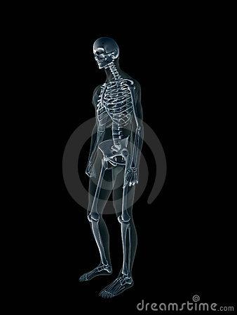 Xray, X-ray Of The Human Male Body. Stock Photography ...