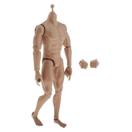 They will help us measure the in my case, when i'm drawing the torso i'm doing it like one big part. 1/6 Skeleton Muscular Male Figure Body for 28cm Man Human ...