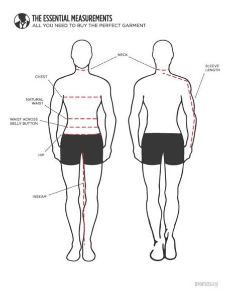 11/8/14 12:20am updated the model with a new one with more accurate anatomy and a better material. Get Measured: The ONE tool you need to solve all your ...