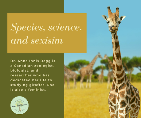 Dr. Anne Innis Dagg is a Canadian zoologist, biologist, and researcher who has dedicated her life to studying giraffes.