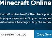 SeekaHost Minecraft Server Hosting Offers Adult Gamers Most Affordable Gaming Experience