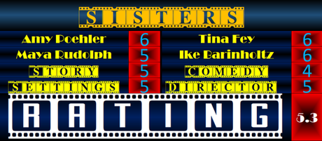 Sisters (2015) Movie Review
