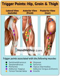 Your muscles will feel as though they have locked up, and the in addition, tightness or weakness in your glutes, hips, quads, and hamstrings will impact the muscles in your lower back, putting more strain. Trigger Points Hip Back