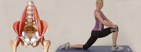 Hip Flexors And Low Back Pain Lara Physiotherapy