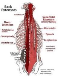 The lower back area is one of the most overlooked and under appreciated muscle group in the body however it is one of the most common sources of pain according to the national institute of neurological disorders and stroke. Reduce Low Back Pain And Aches The Pilates Works