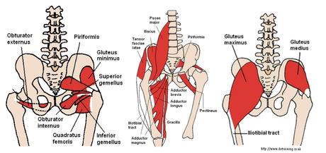 Hips Don T Lie 3 Exercises To Enhance Hip Mobility Healthstin Blog