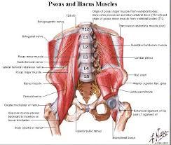 The lower back and hip share many groups of muscles. Metaphysics Of The Lower Back Ravenstarshealingroom S Blog