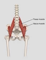 A pulled muscle in the lower back can make everyday activities, such as sleeping and working, extremely difficult. Soothing Your Psoas Muscle Welcome To Powell Wellness Center