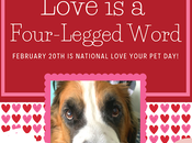 February National Love Your Day: Show Some