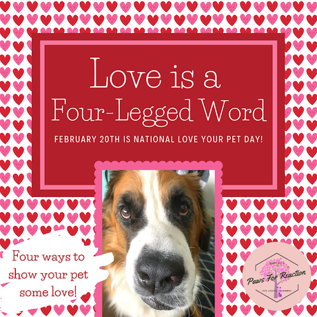 February 20 is National Love Your Pet Day: How to show your pet some love