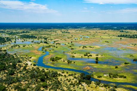 Okavango Delta in the green season