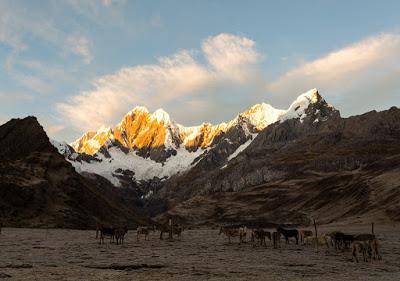 HIKING THE ANDES, the HUAYHUASH TREK: Owen’s Peruvian Adventures, Part 2, Guest Post by Owen Floody at The Intrepid Tourist