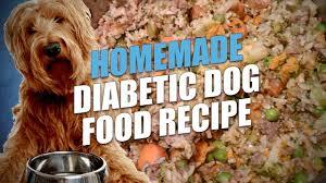 This type of climbs can greatly affect the health of the dog. Homemade Diabetic Dog Food Recipe Cheap And Healthy Youtube