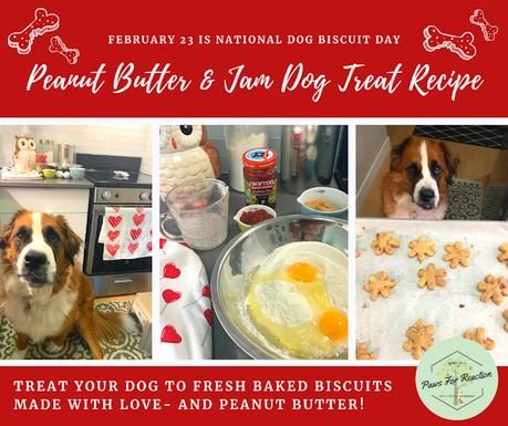 February 23 is National Dog Biscuit Day: Peanut butter & jam dog treat recipe