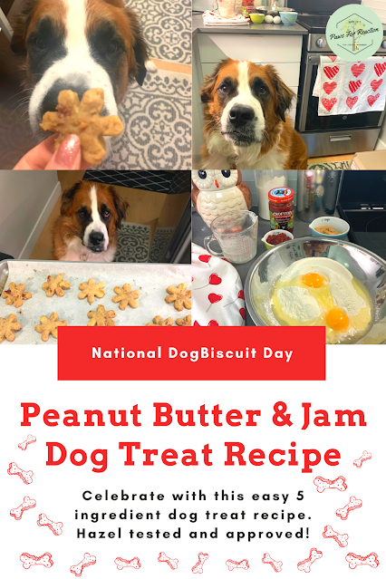 February 23 is National Dog Biscuit Day: Peanut butter & jam dog treat recipe