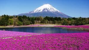 Wallpapercave is an online community of desktop wallpapers enthusiasts. Japan Mount Fuji 2019 Hd Desktop Wallpapers Yl Computing