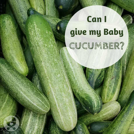 Cucumbers are cooling and refreshing, making them perfect for summers. However, the important question among parents is this: Can I give my Baby Cucumber?