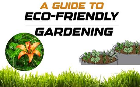 A Guide to Eco-friendly Gardening