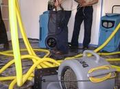 Things Consider When Getting Restoration Services Diego