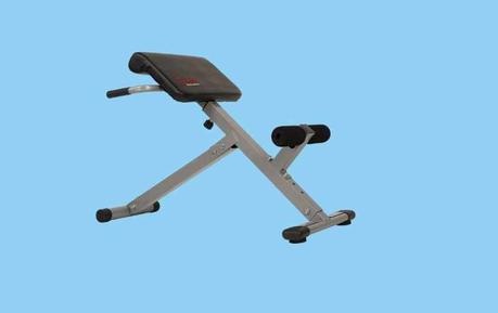 Sunny Health 45-Degree Back Extension Bench