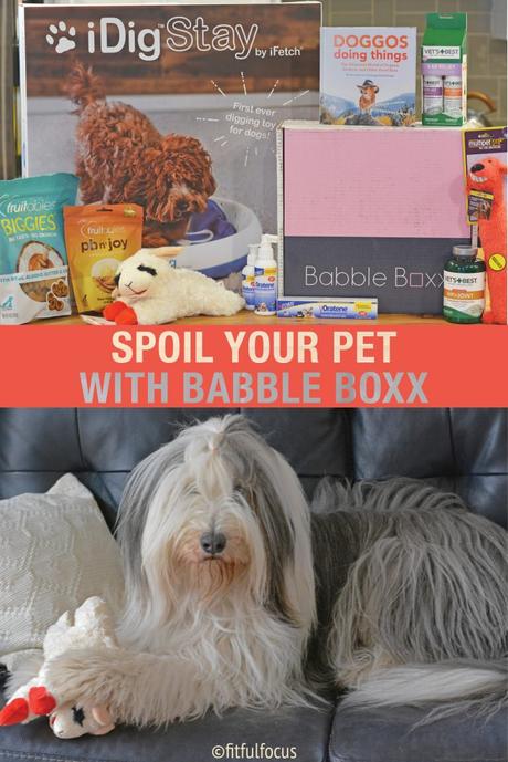 Six Ways to Spoil Your Pet