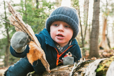 hoyt arboretum preschool walks