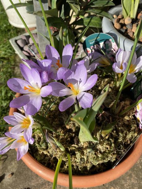 Six on Saturday 27/02/2021