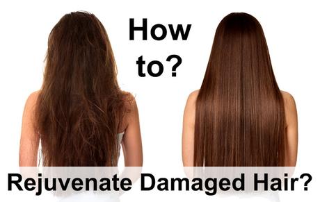 Rejuvenate Damaged Hair