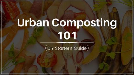 How to Get Started with Urban Composting (Infographic)