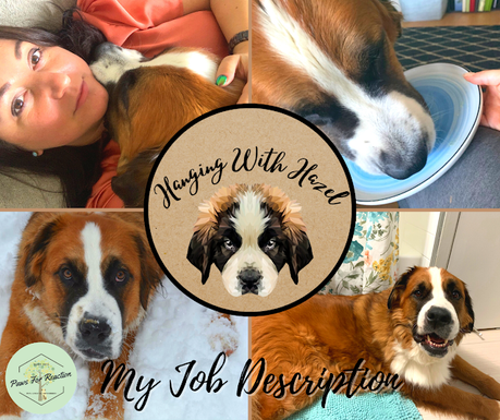 Hanging With Hazel: A successful working (from home) dog's job description