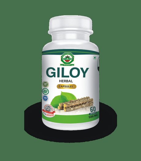 GILOY HERBAL CAPSULES