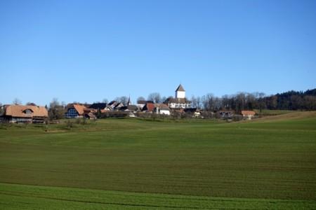 A Spring Walk