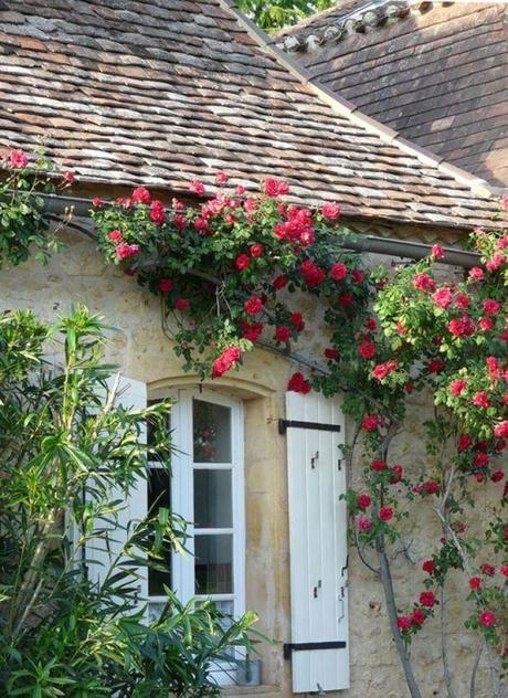 French Country Decor Let The Roses Climb Up The Wall - Harptimes.com