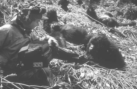 When We Talk About Animals – Ep. 39 When We Talk About Animals – Ep. 39