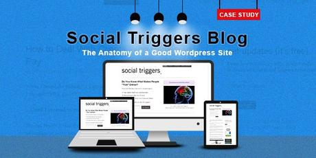 Social-Triggers-Entrepreneur Blogs